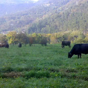 Séjour à la ferme Biobio, Vobarno